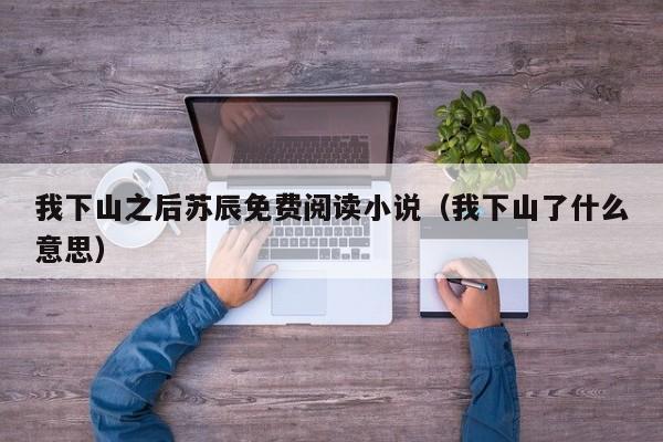 我下山之后苏辰免费阅读小说（我下山了什么意思）