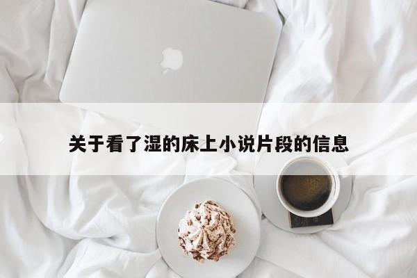 关于看了湿的床上小说片段的信息