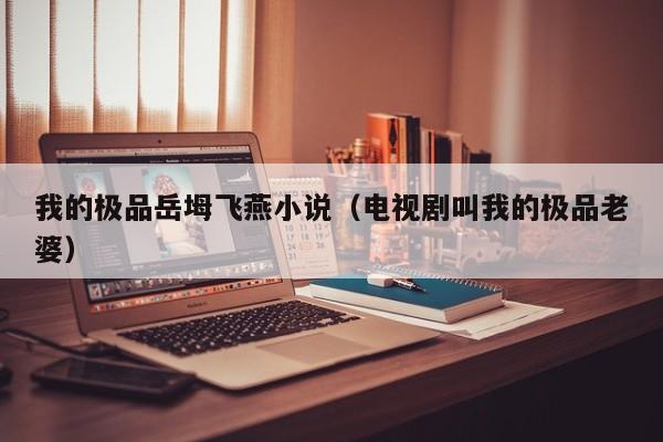 我的极品岳坶飞燕小说（电视剧叫我的极品老婆）