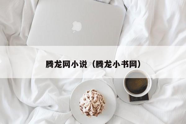 腾龙网小说（腾龙小书网）
