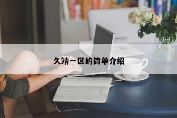 久靖一区的简单介绍