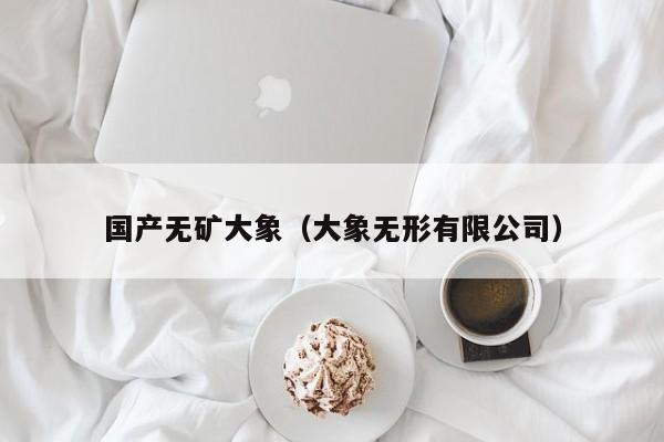 国产无矿大象（大象无形有限公司）