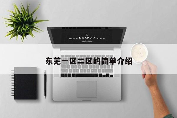 东芜一区二区的简单介绍
