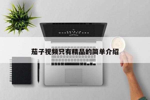茄子视频只有精品的简单介绍